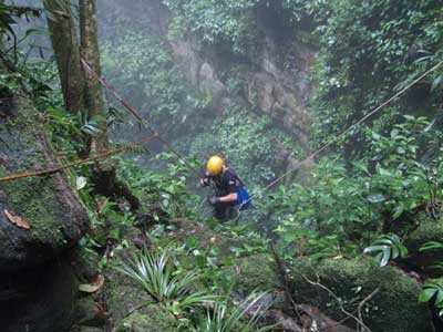 Overcoming dangerous forests
