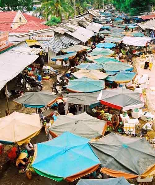 Dong Hoi fish market