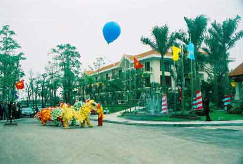 Lion dances