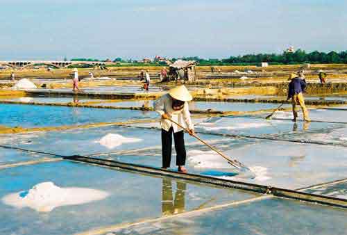 Making salt