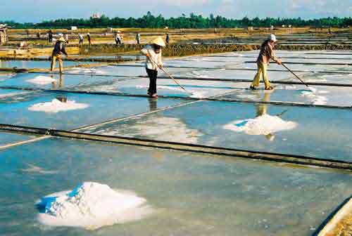 Making salt