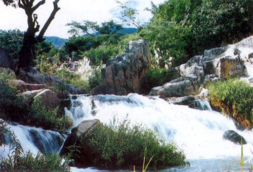 Dự án kêu gọi đầu tư