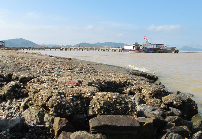 Giang ferry