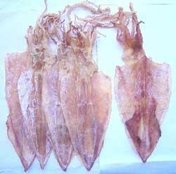 Tin mới